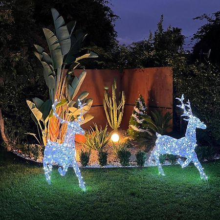 Casa De La Luna Nettuno Ngoại thất bức ảnh