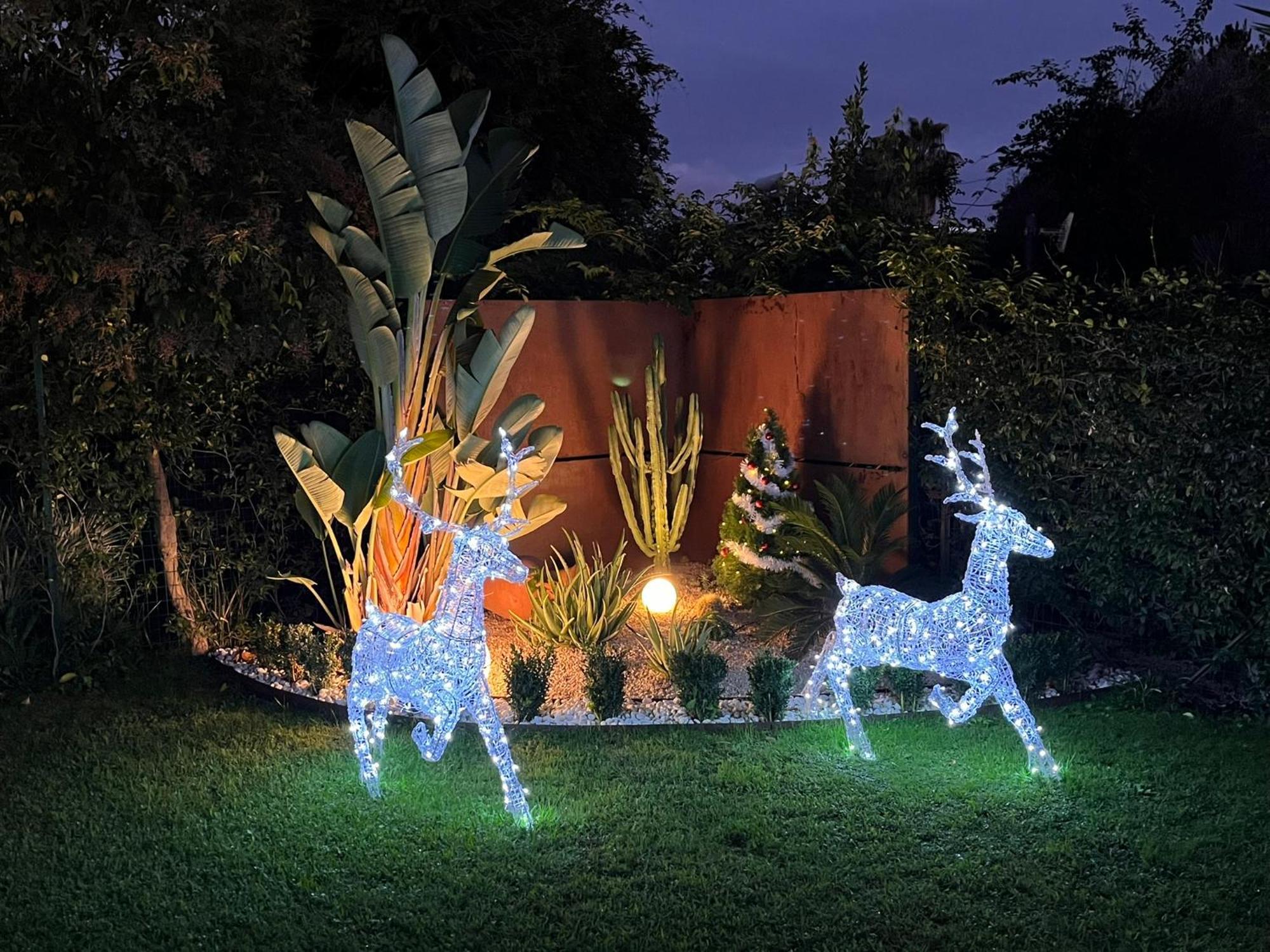 Casa De La Luna Nettuno Ngoại thất bức ảnh